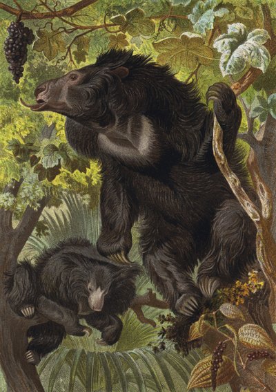 læbestang af European School